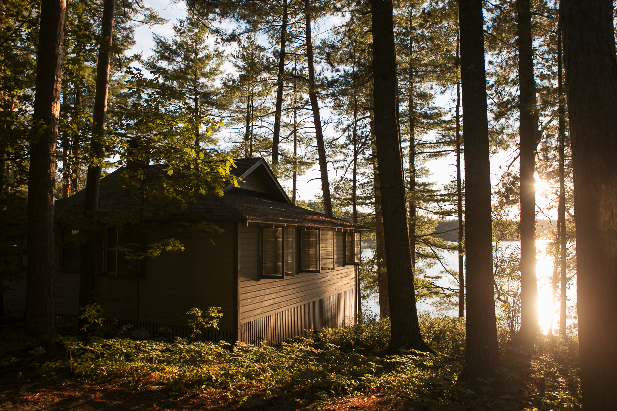 Beautiful sunset through the trees at Papoose Pond Family Campground