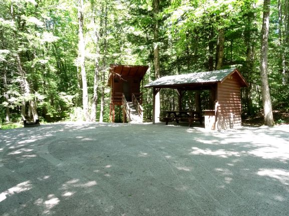 Tree House campsite includes a huge campsite with dining shelter and a totally enclosed cabin built on top of a twenty-foot high tree stump with supports all around.