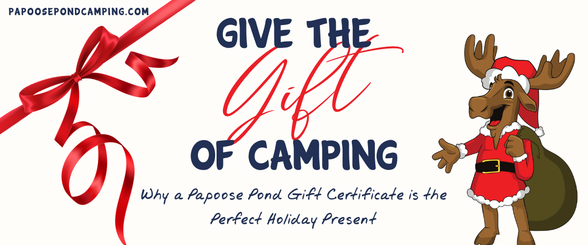 give the gift of camping